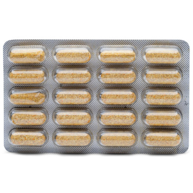 Wyzium, 40 comprimate – suport ocular antioxidant pentru câini și pisici